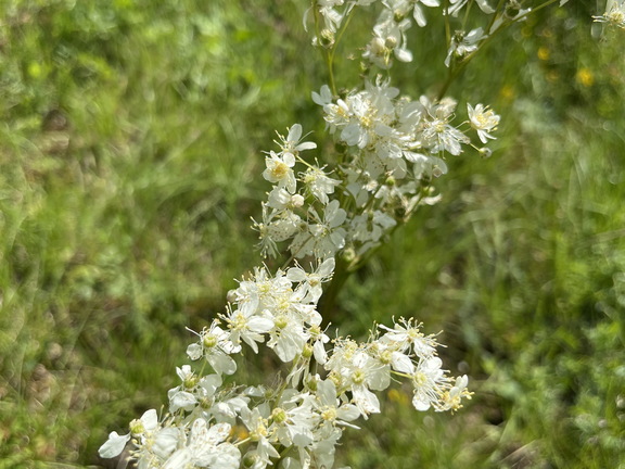 24-05-18 16-10-06 9471